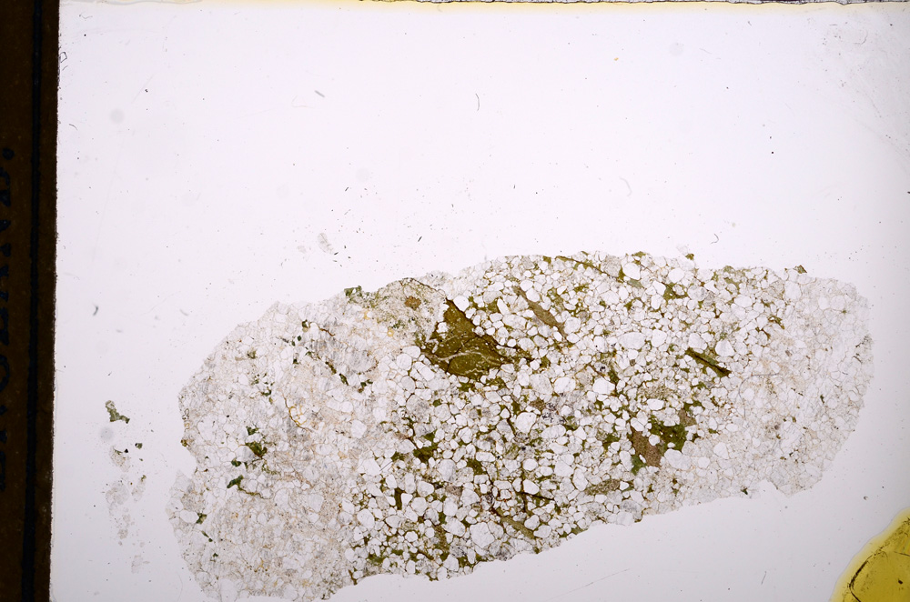 Plane Polarized, E13010