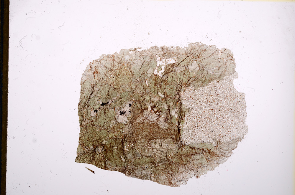 Plane Polarized, E13013