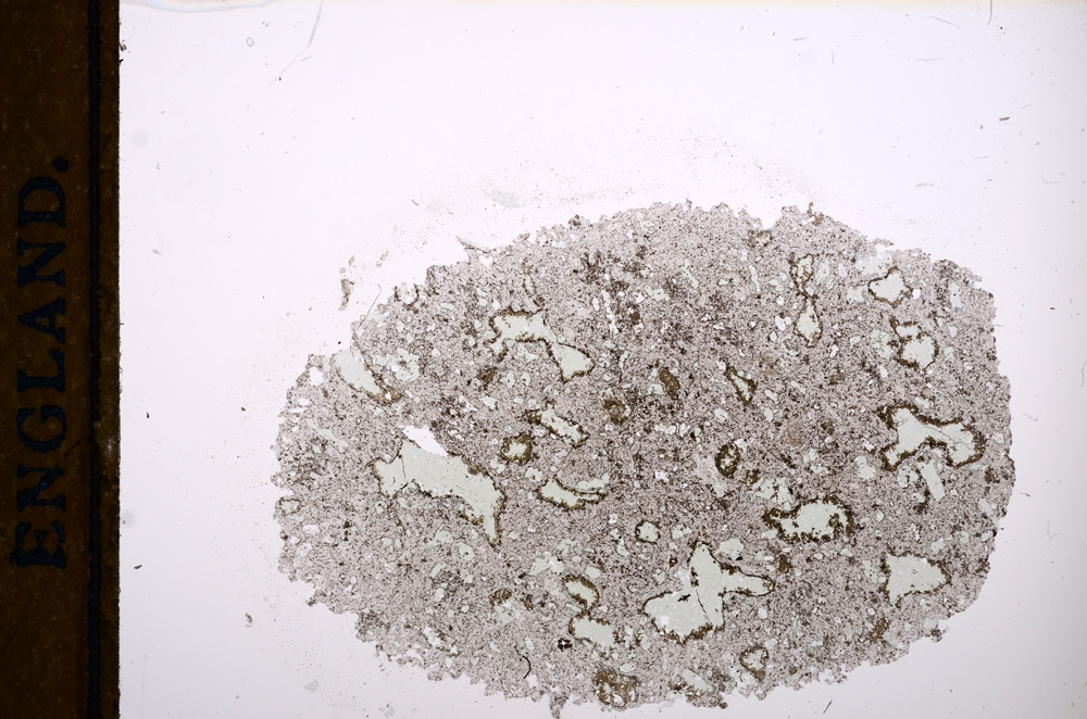 Plane Polarized, E13019