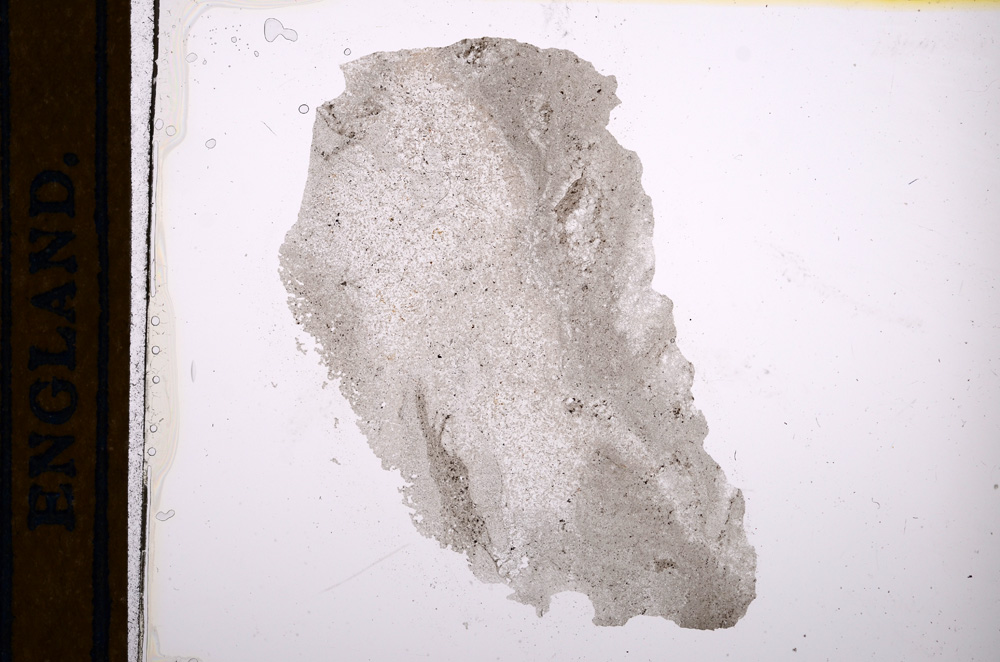 Plane Polarized, E13037