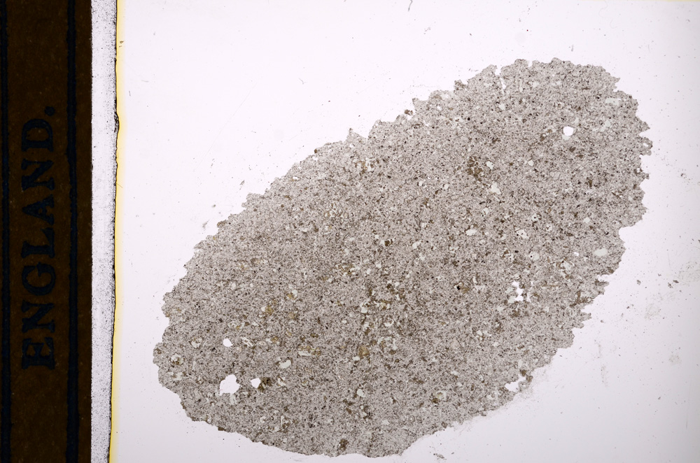 Plane Polarized, E13048