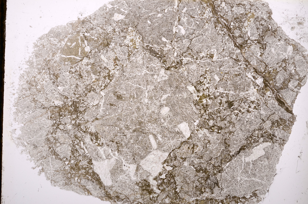 Plane Polarized, E13058