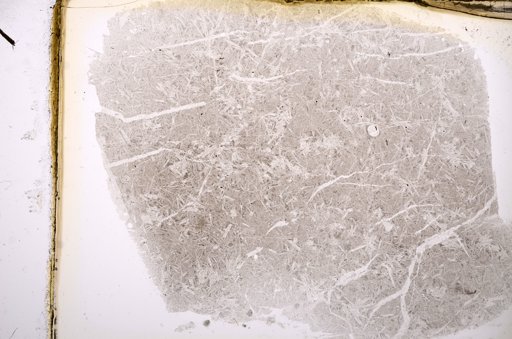 Plane Polarized, E13059