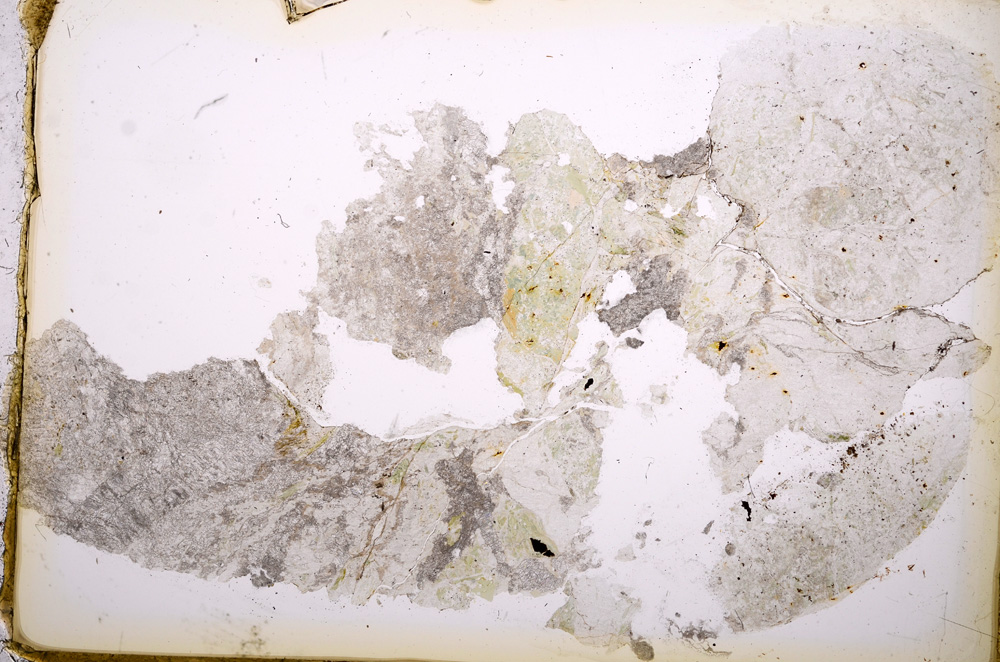 Plane Polarized, E13060