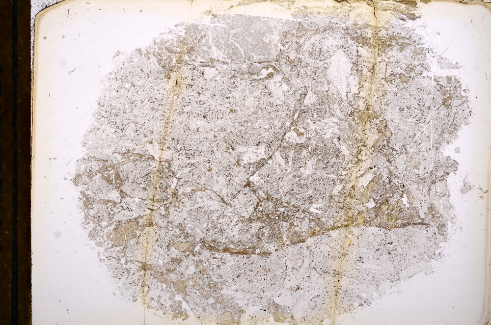 Plane Polarized, E13062