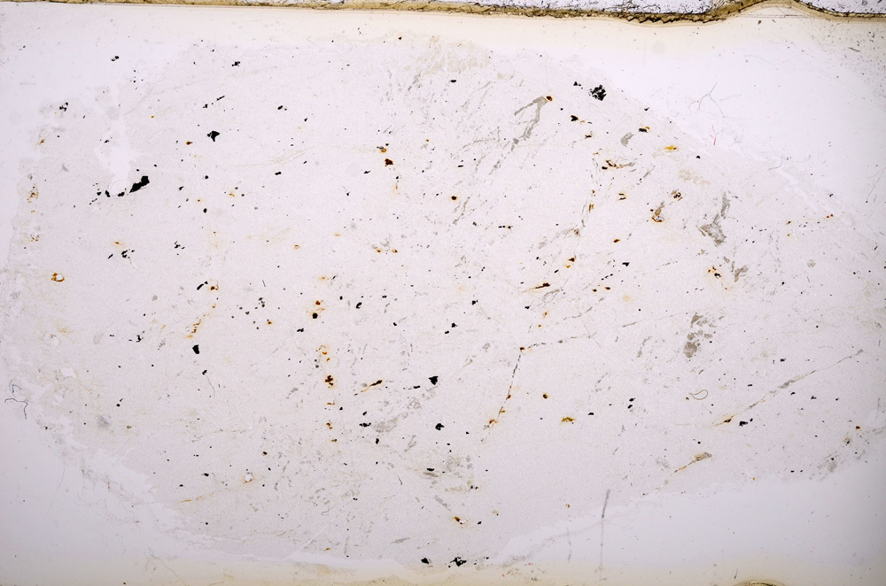 Plane Polarized, E13063