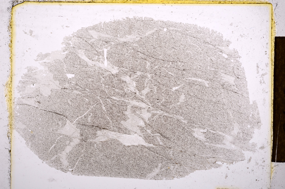 Plane Polarized, E13064