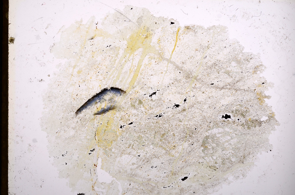 Plane Polarized, E13066