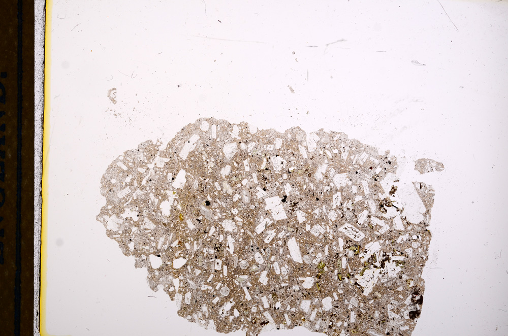 Plane Polarized, E13134