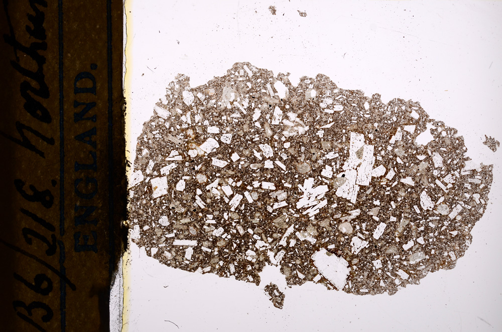 Plane Polarized, E13137