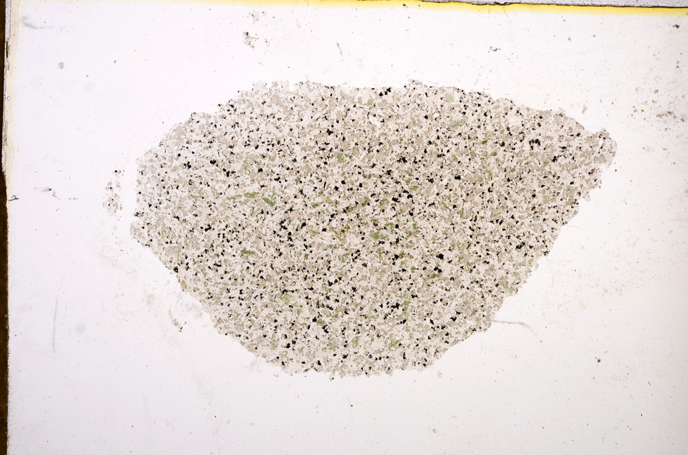 Plane Polarized, E13142