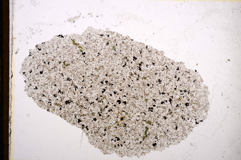 Plane Polarized, E13143