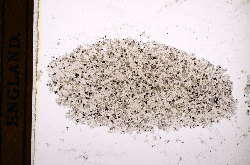 Plane Polarized, E13144