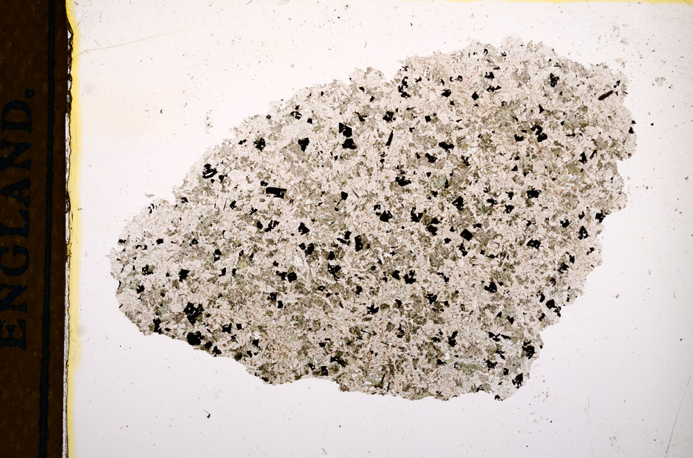 Plane Polarized, E13145