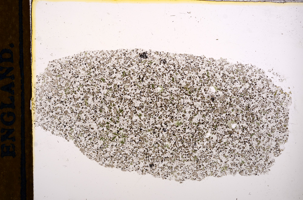 Plane Polarized, E13148