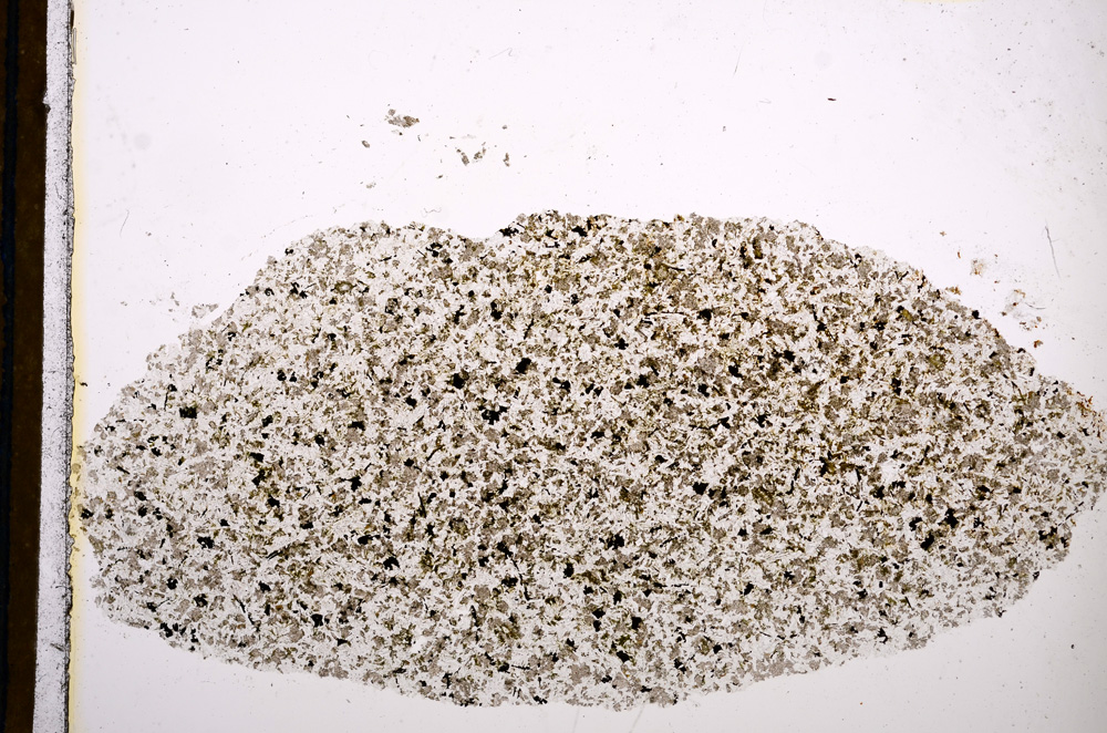 Plane Polarized, E13149