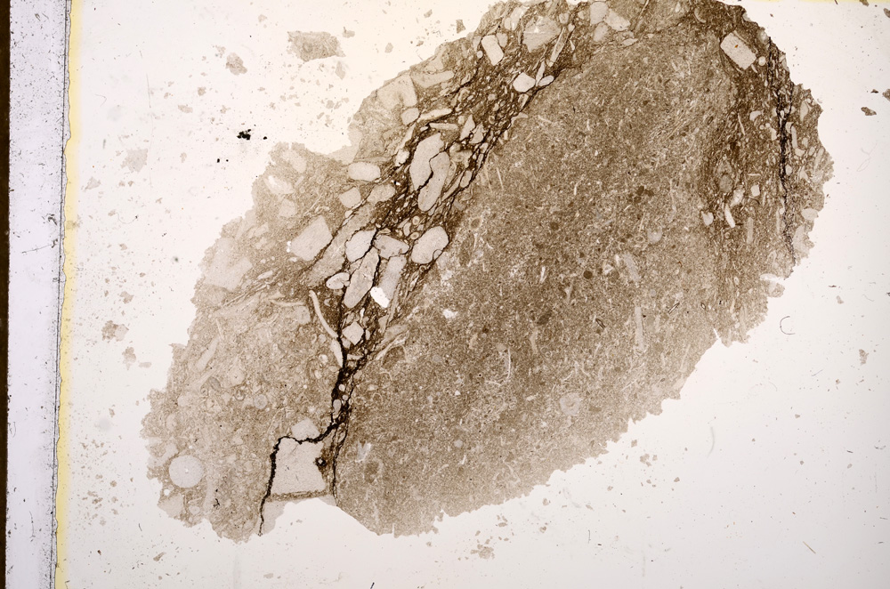 Plane Polarized, E13157