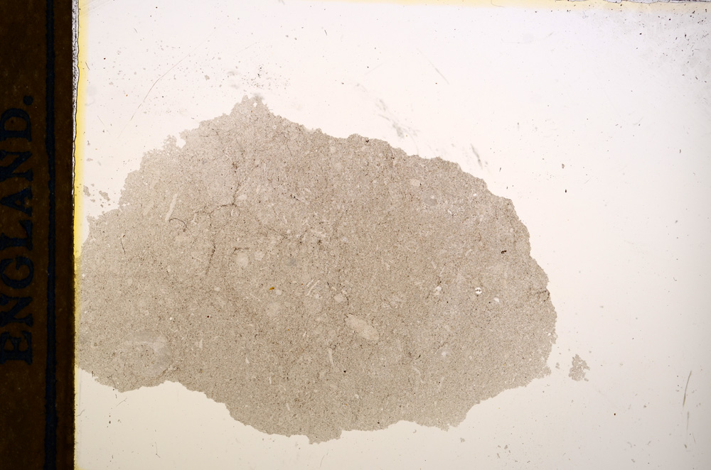 Plane Polarized, E13159