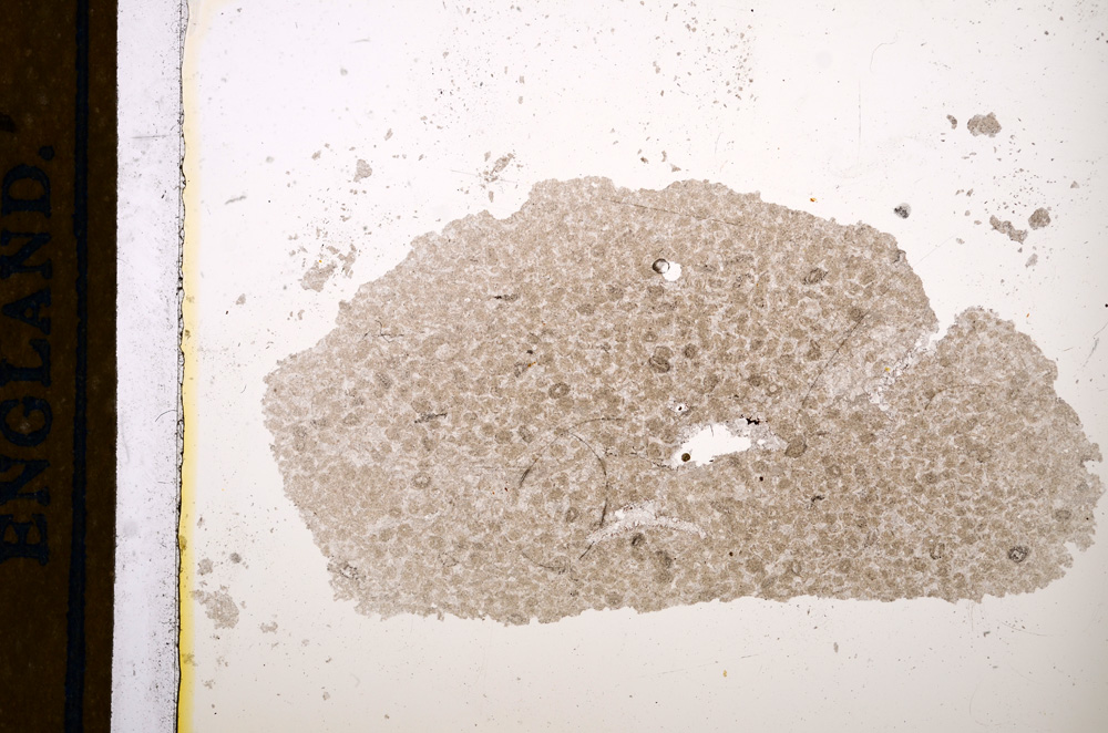 Plane Polarized, E13160