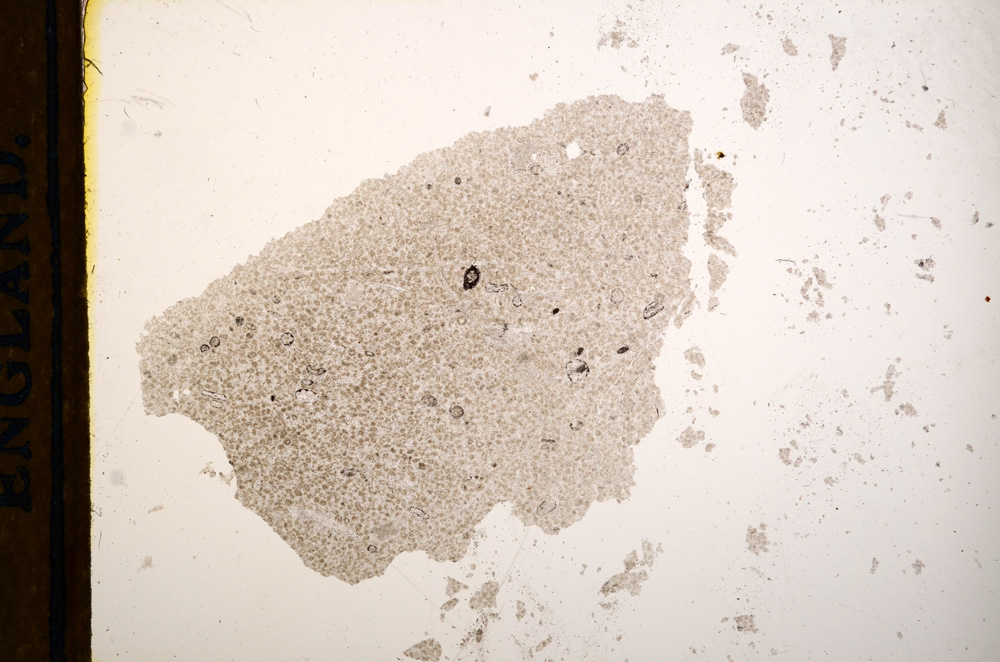 Plane Polarized, E13162