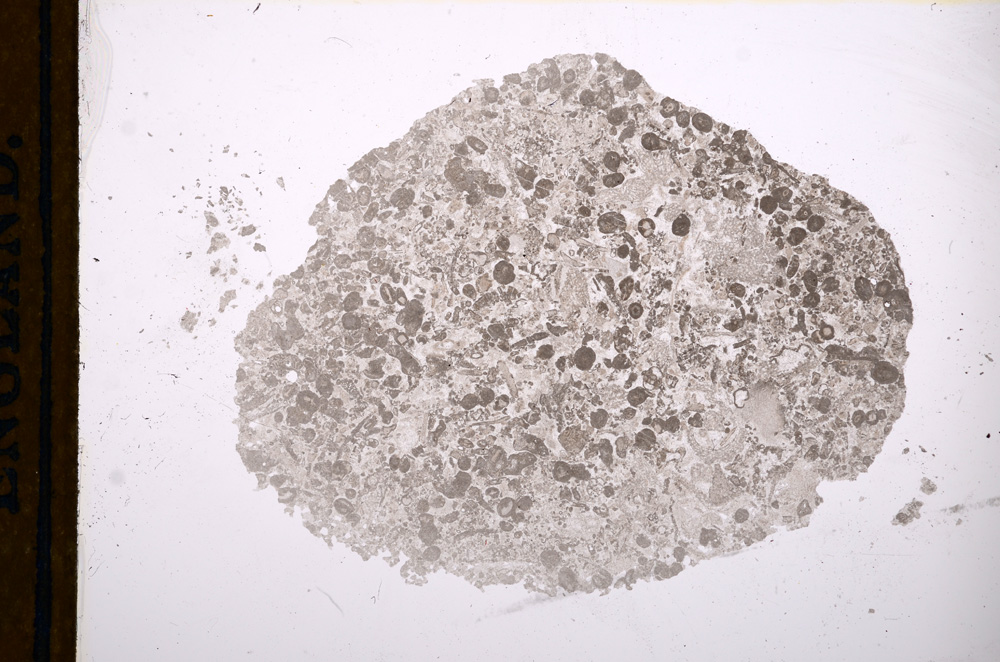 Plane Polarized, E13176