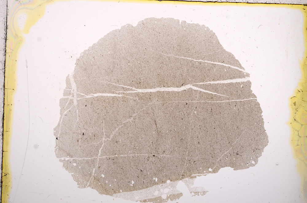 Plane Polarized, E13208