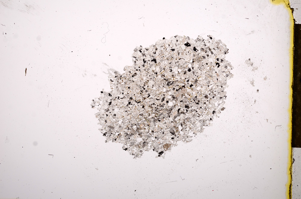 Plane Polarized, E13209