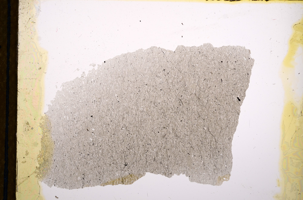 Plane Polarized, E13212