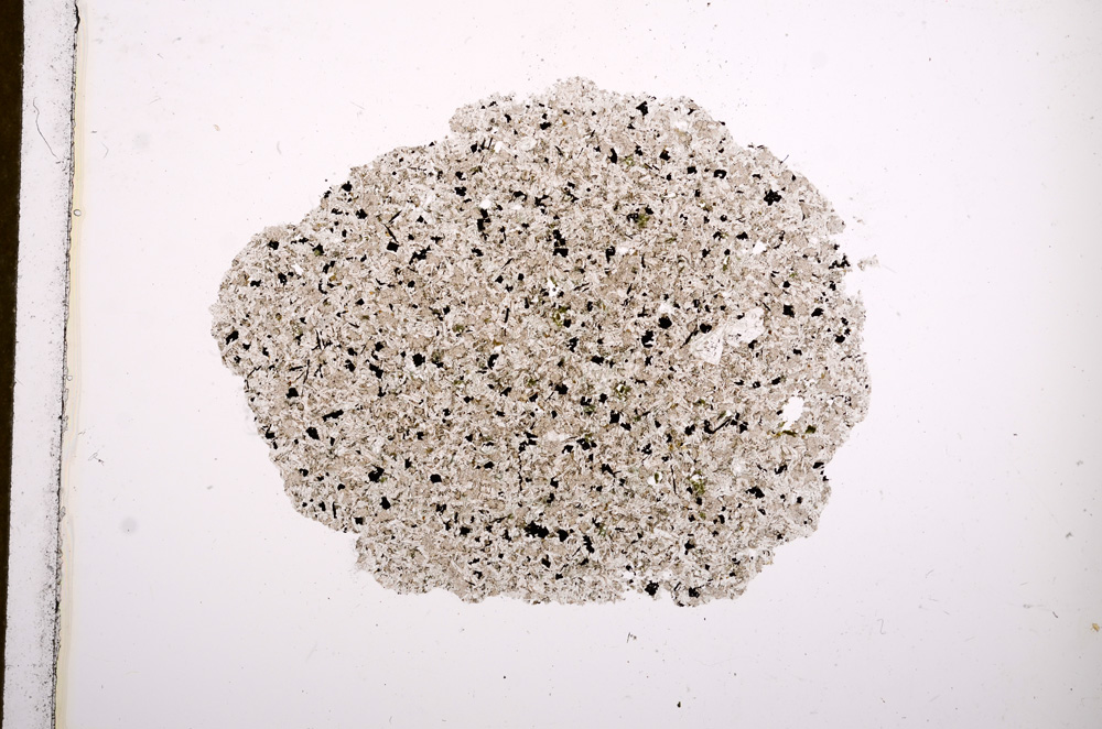 Plane Polarized, E13217