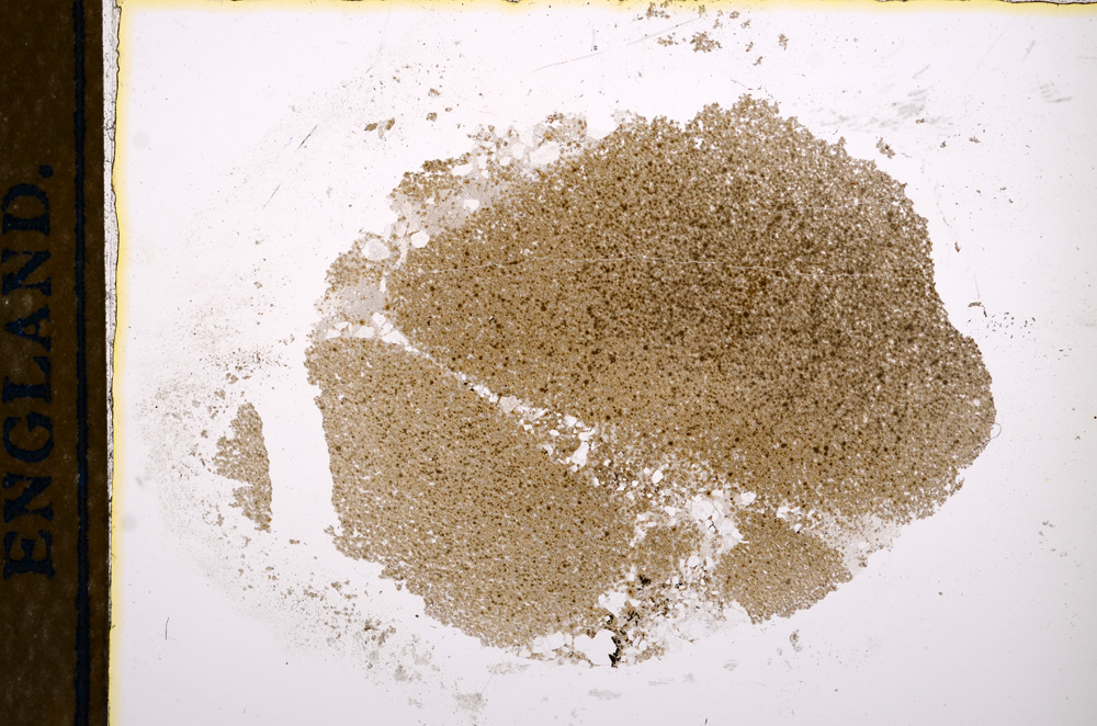 Plane Polarized, E13222