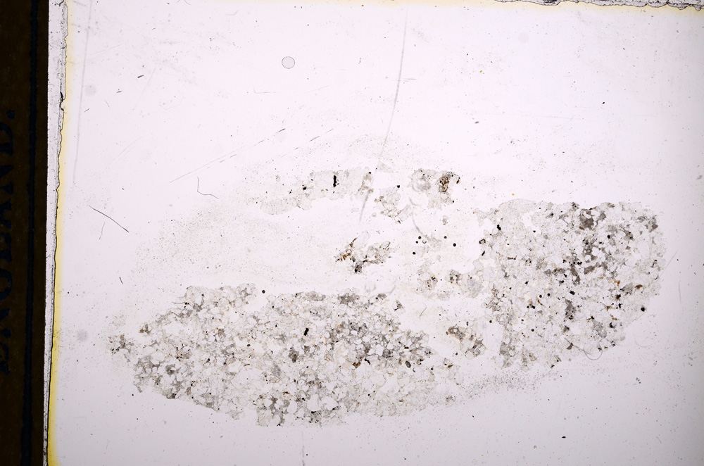 Plane Polarized, E13224