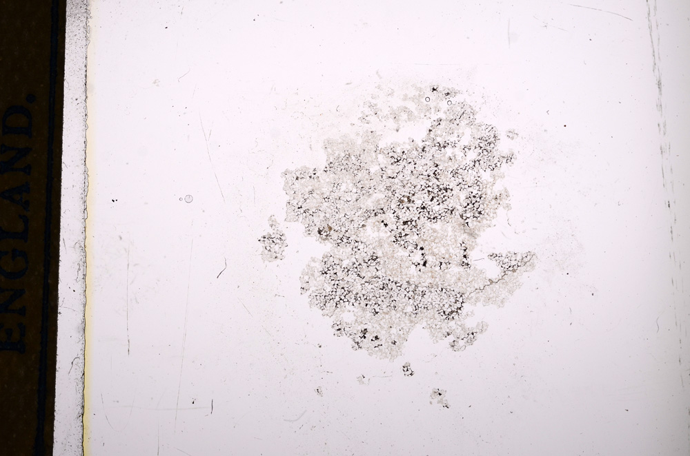 Plane Polarized, E13226