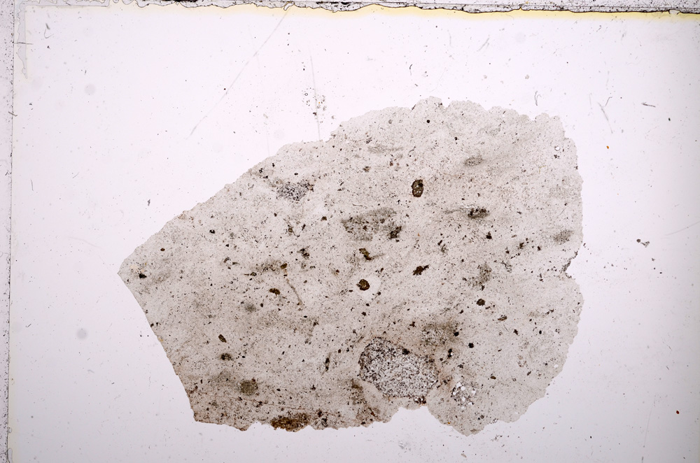 Plane Polarized, E13233