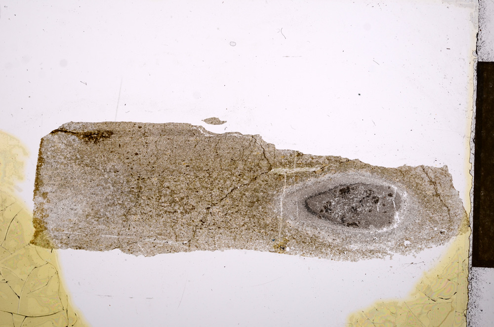 Plane Polarized, E13237