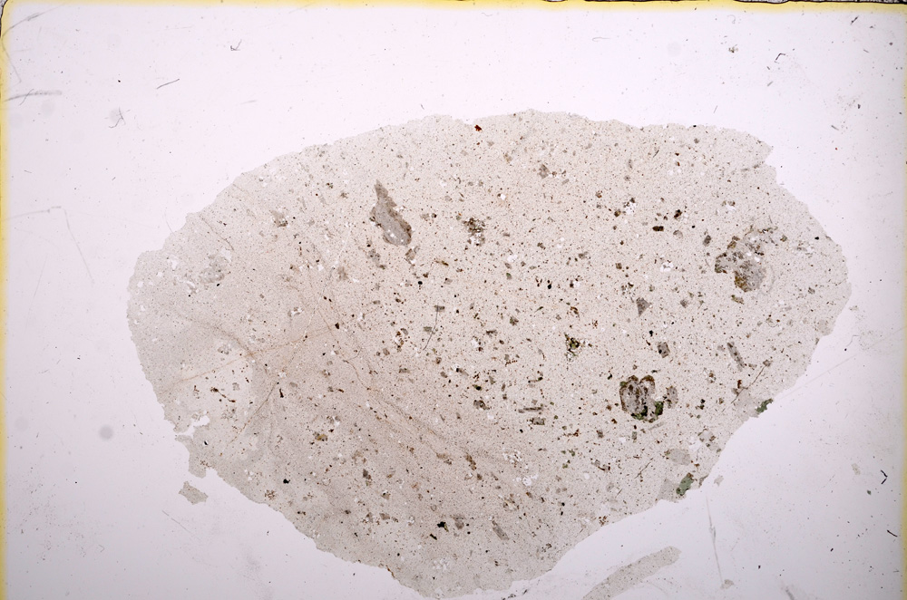 Plane Polarized, E13238