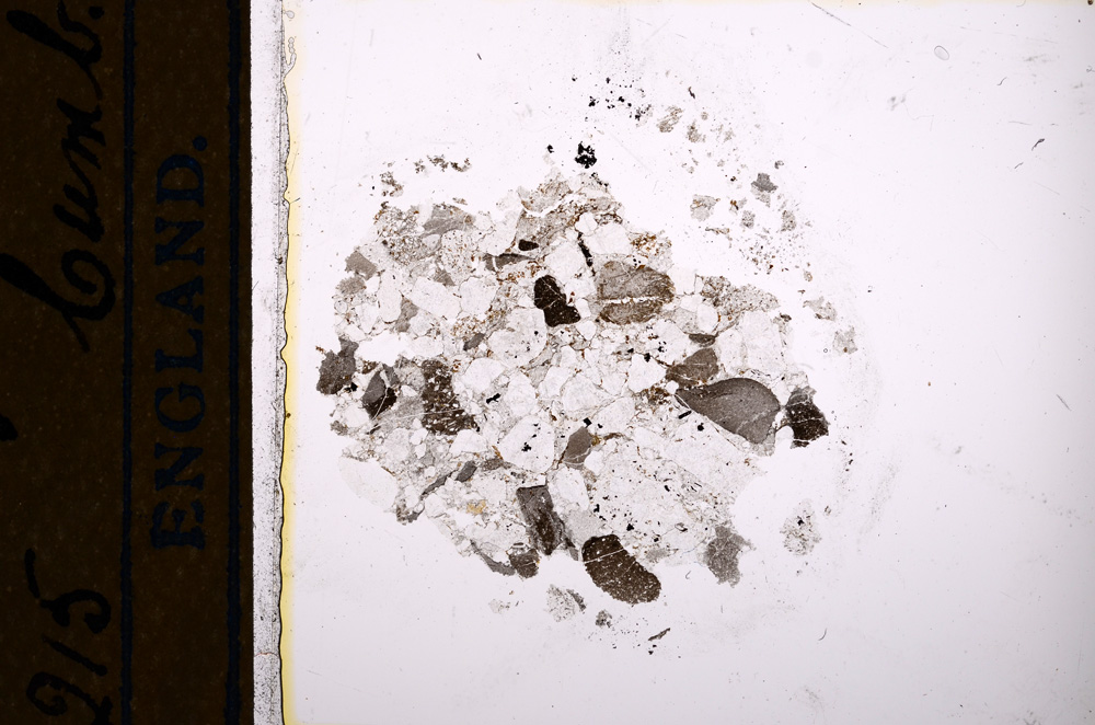 Plane Polarized, E13242