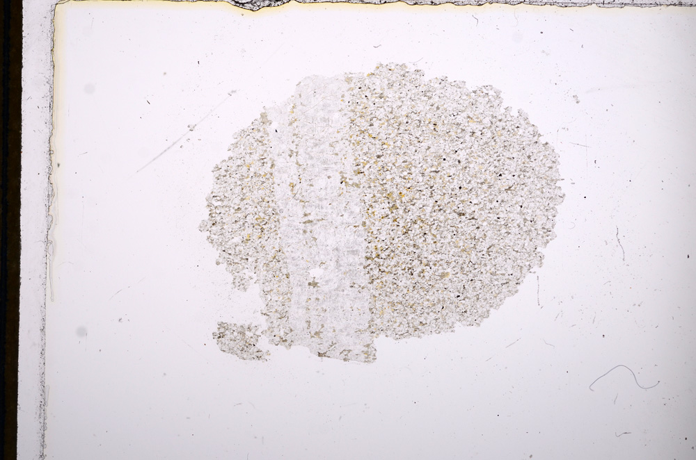 Plane Polarized, E13243