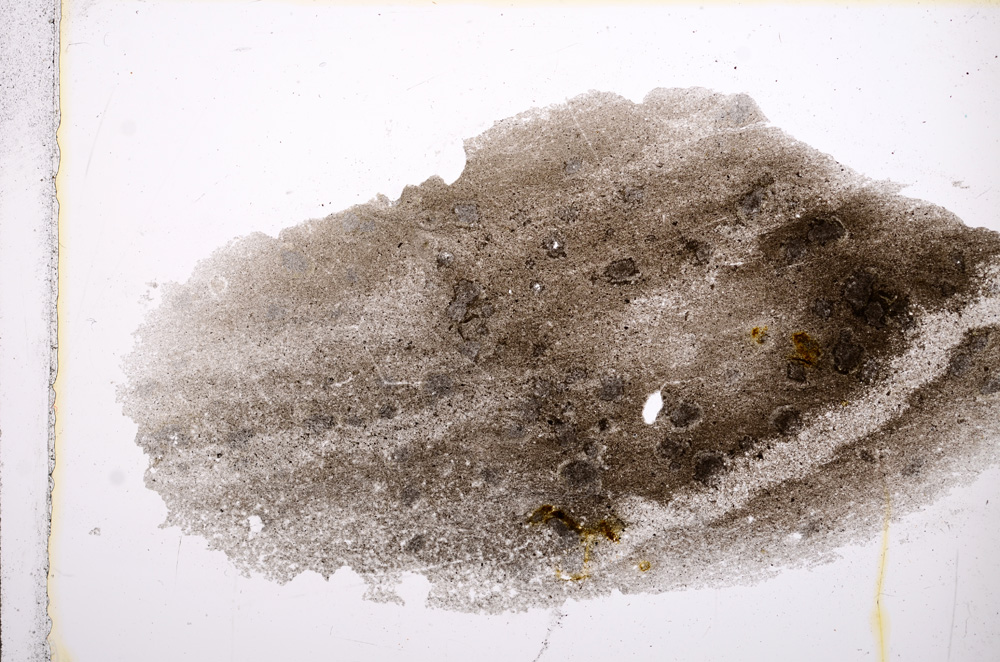 Plane Polarized, E13245