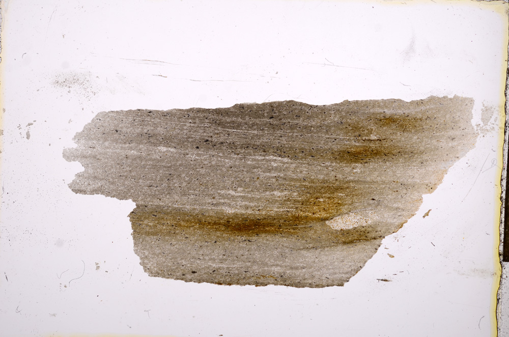 Plane Polarized, E13247