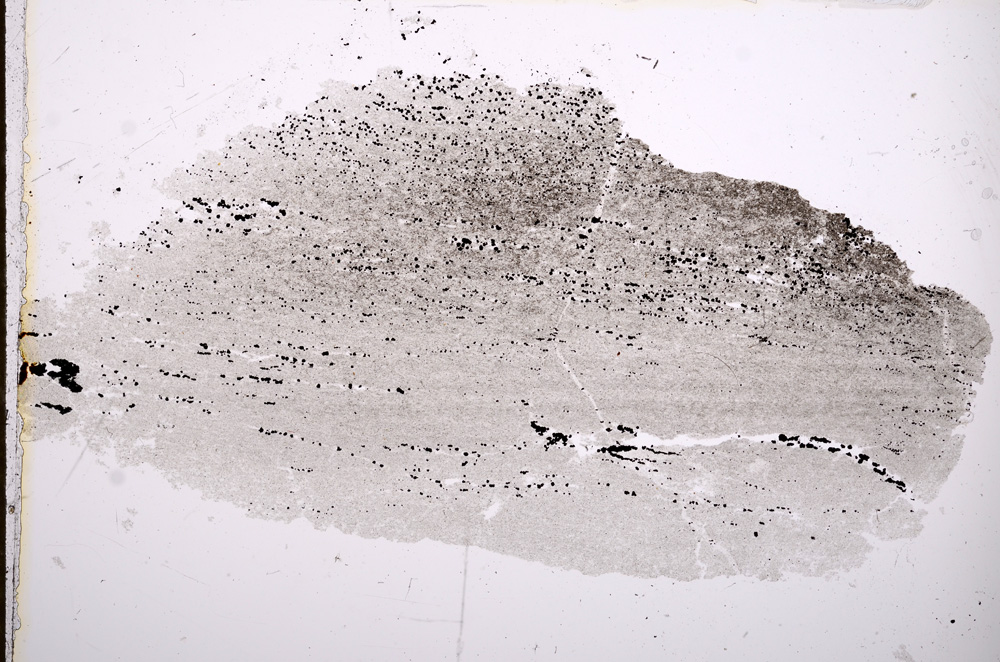 Plane Polarized, E13248