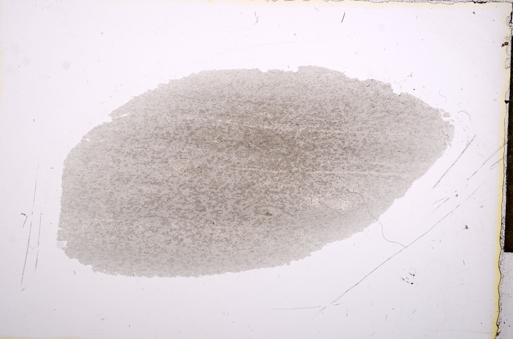 Plane Polarized, E13251