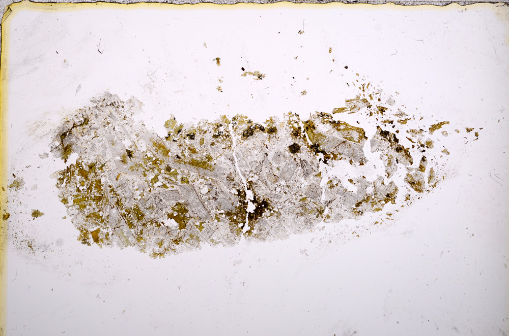 Plane Polarized, E13256