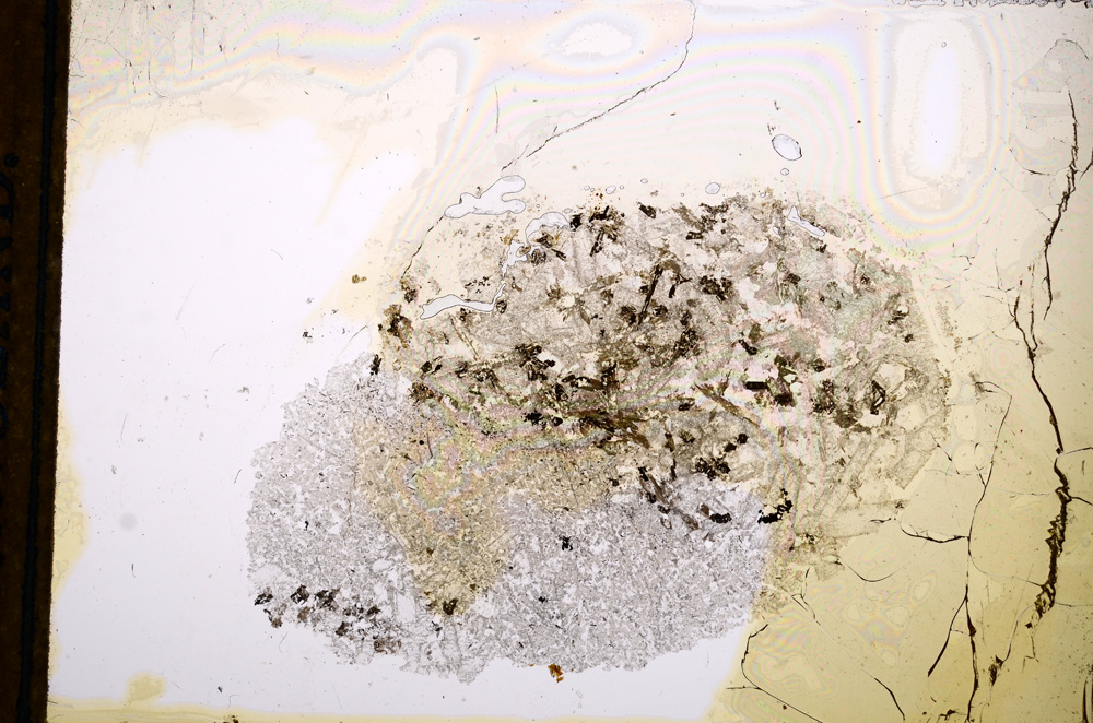 Plane Polarized, E13257