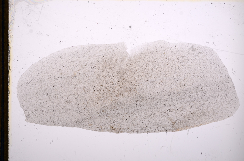 Plane Polarized, E13278