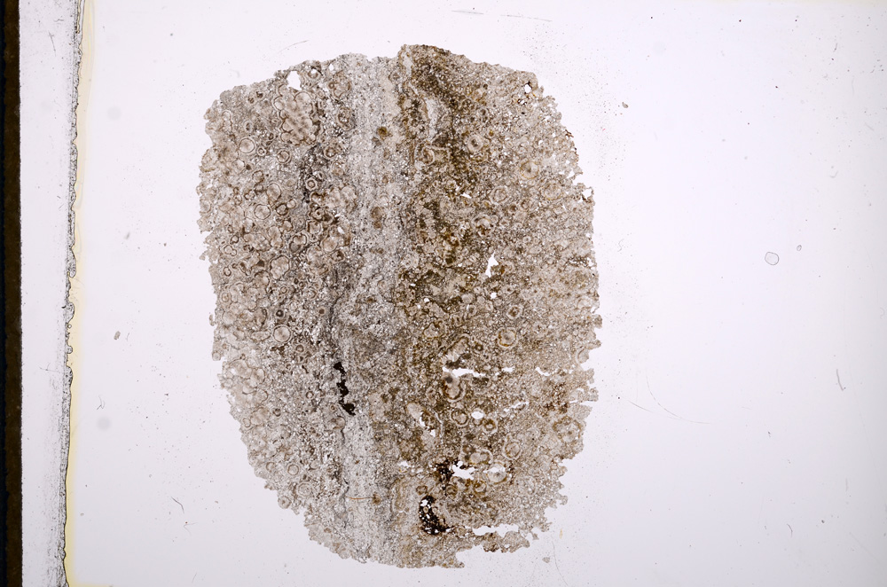 Plane Polarized, E13280