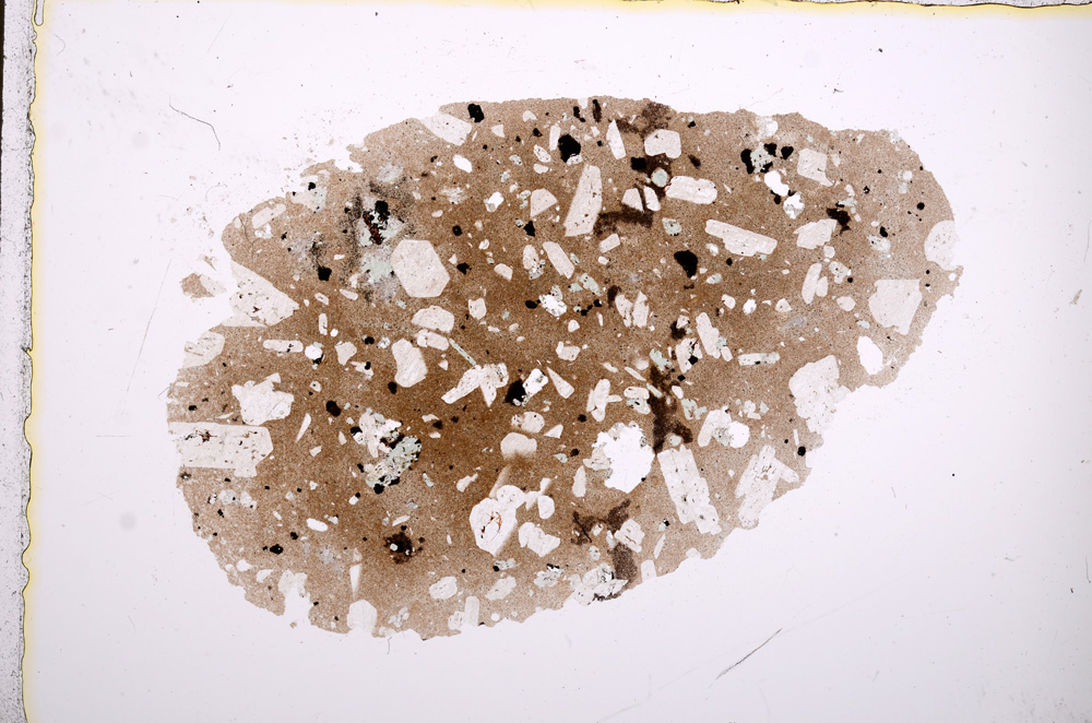 Plane Polarized, E13294