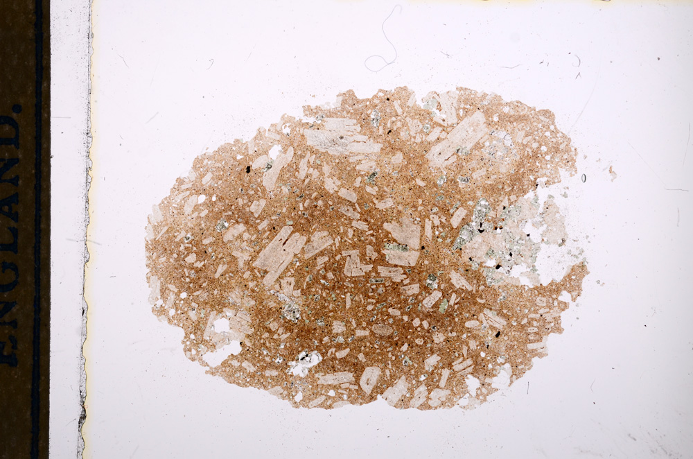 Plane Polarized, E13295