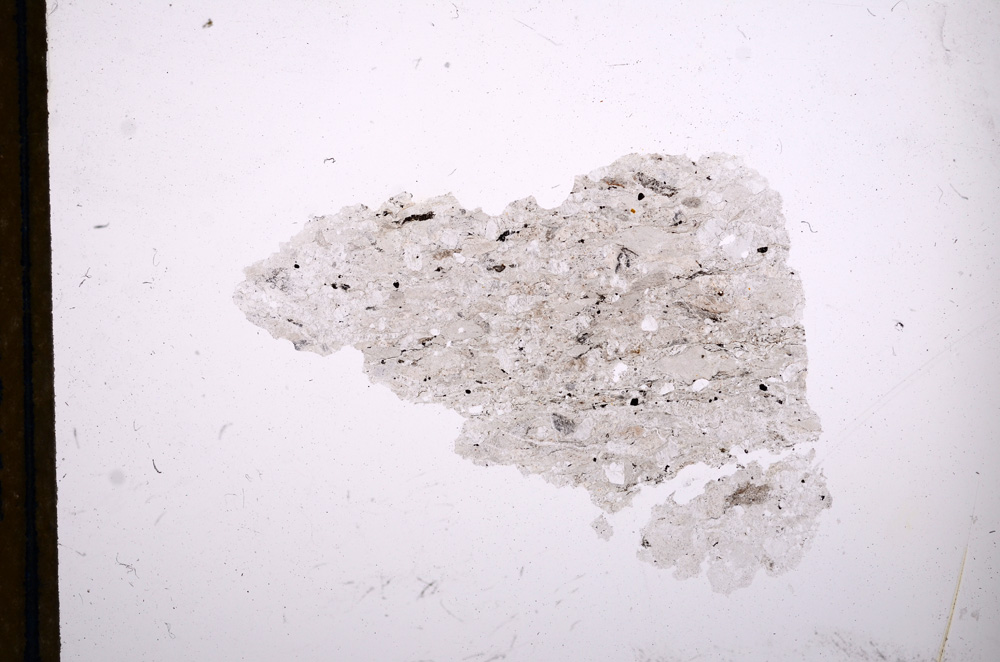 Plane Polarized, E13367