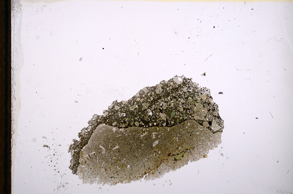 Plane Polarized, E13376