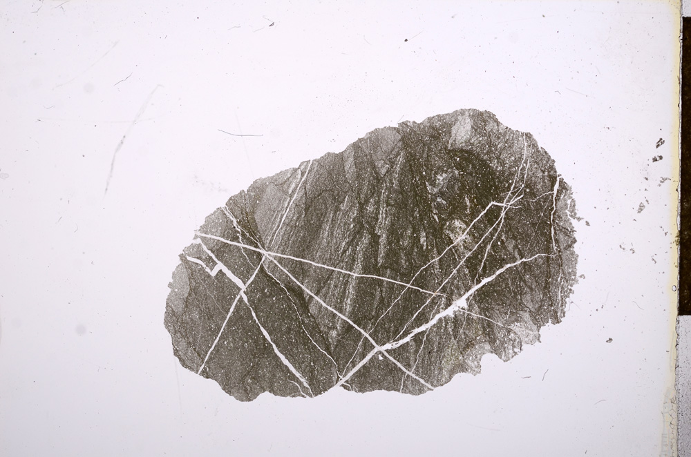 Plane Polarized, E13379